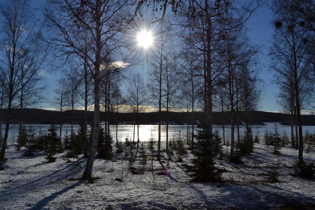 Sagverket Hoega Kusten Rö Exterior foto